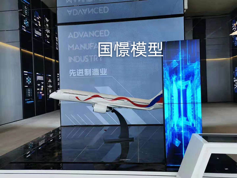 南县飞机模型